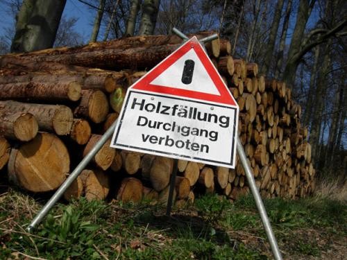 Dreieckiges Warnschild mit Aufdruck : Holzfällung-Durchgang verboten