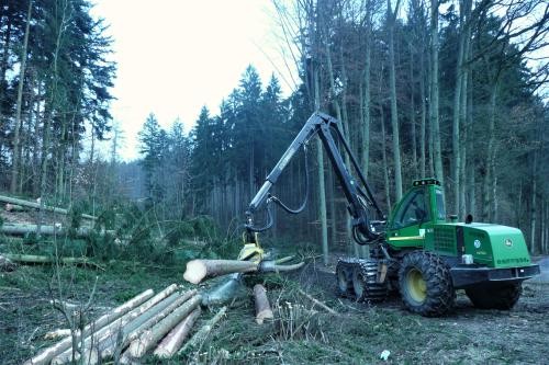 Ein Harvester (Holzerntemaschine) mit Kranausleger schneidet am Wegrand liegende Fichten ein