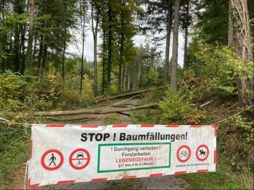 großes Absperrbanner, quer über einen Waldweg aufgehängt. Gefahrenhinweise und Verbote werden durch aufgedruckte Symbole und Verkehrszeichen dargestellt