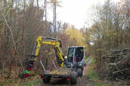 Minibagger zwickt Bewuchs am Wegrand ab