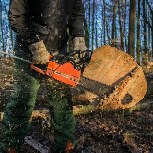 Hände mit Motorsäge an einem Baumstamm