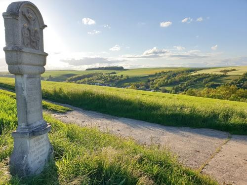 Feldweg mit Feldkreuz