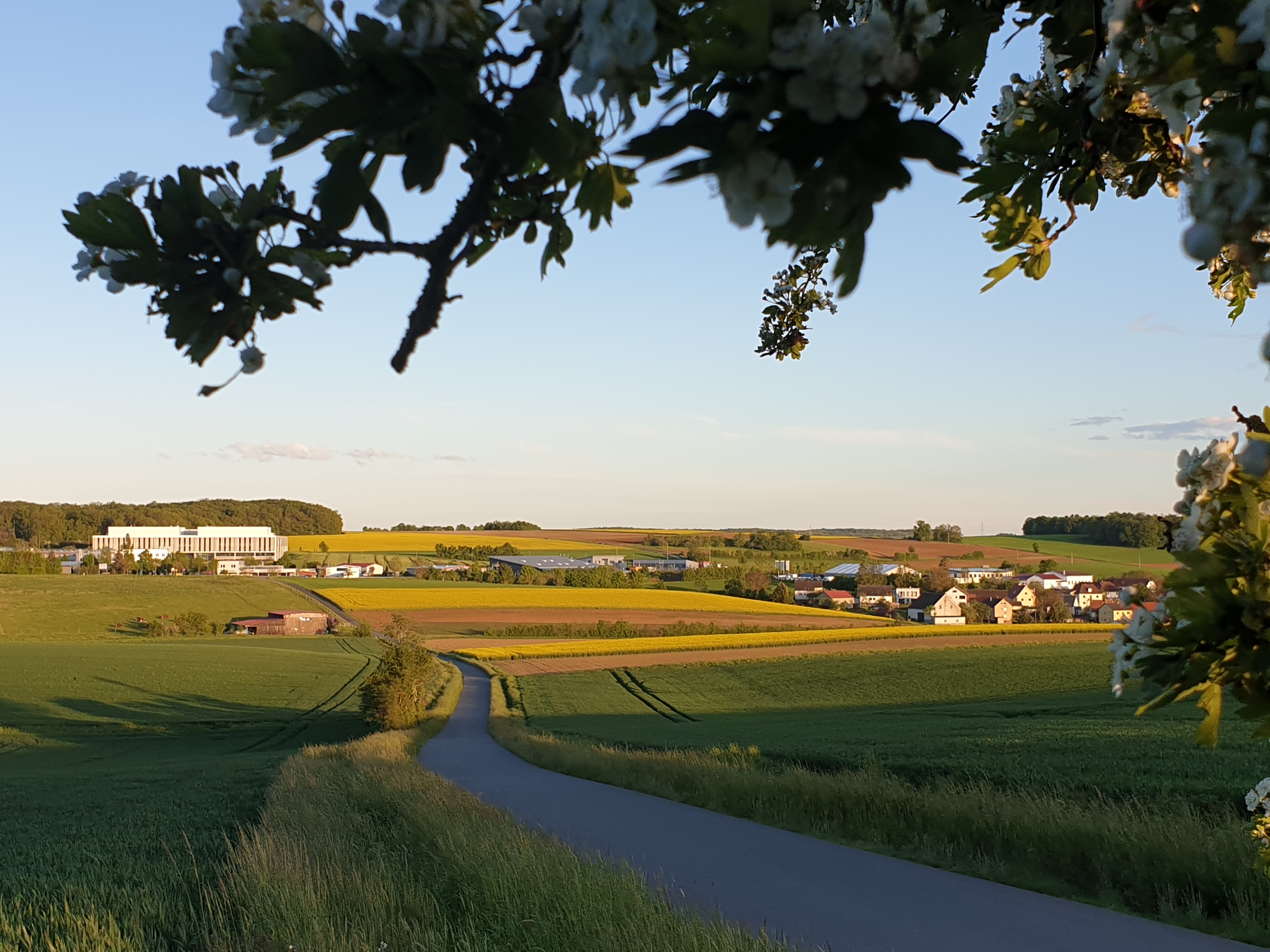 Größter Arbeitgeber Igersheims: die Wittenstein SE im Ortsteil Harthausen